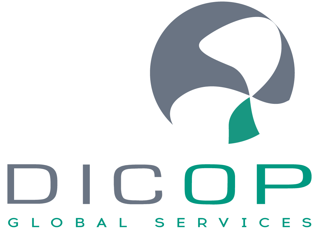 DICOP - Systèmes de ventilation / Ramonage